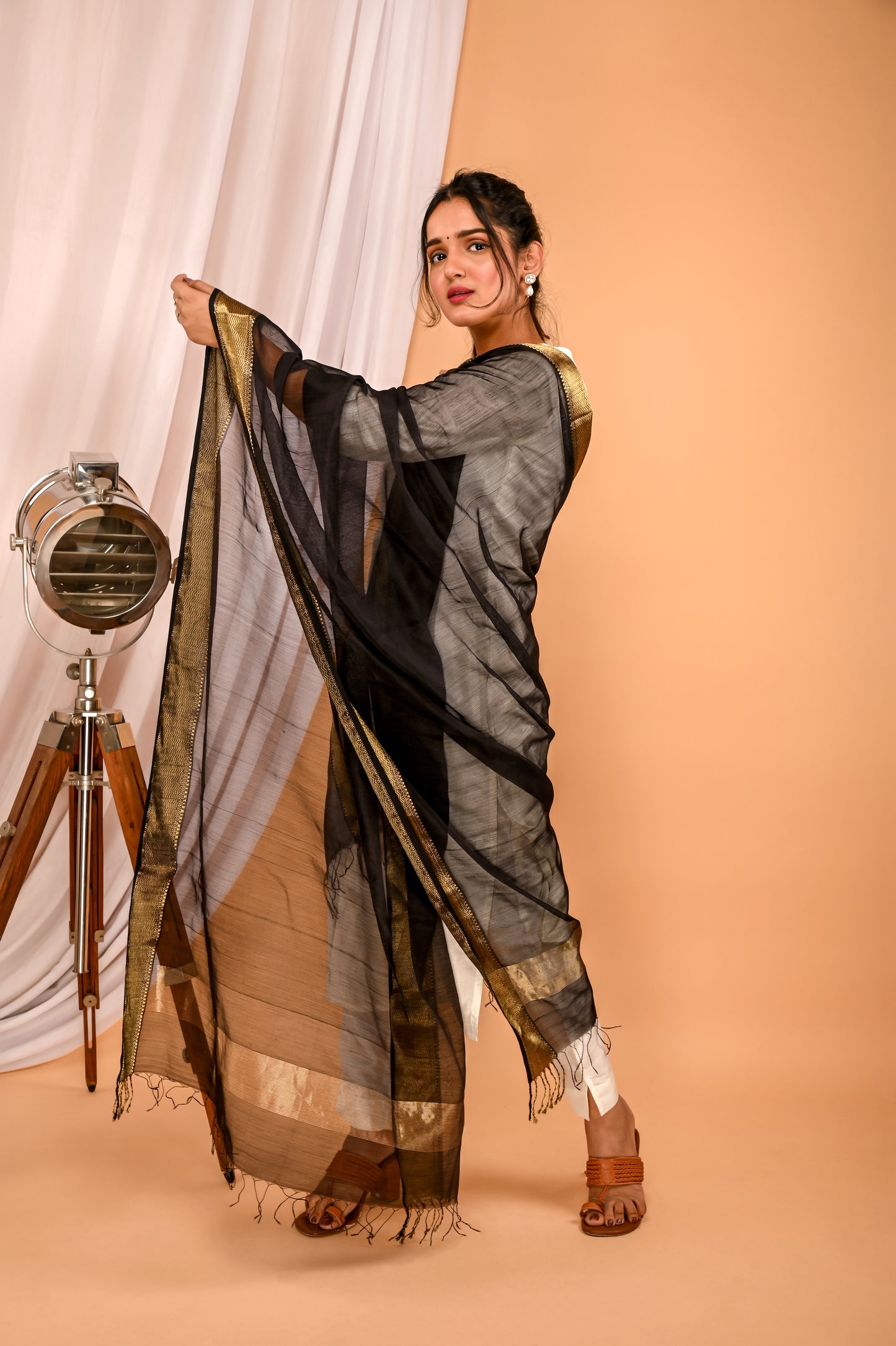 Bina Maheshwari Handwoven Dupatta