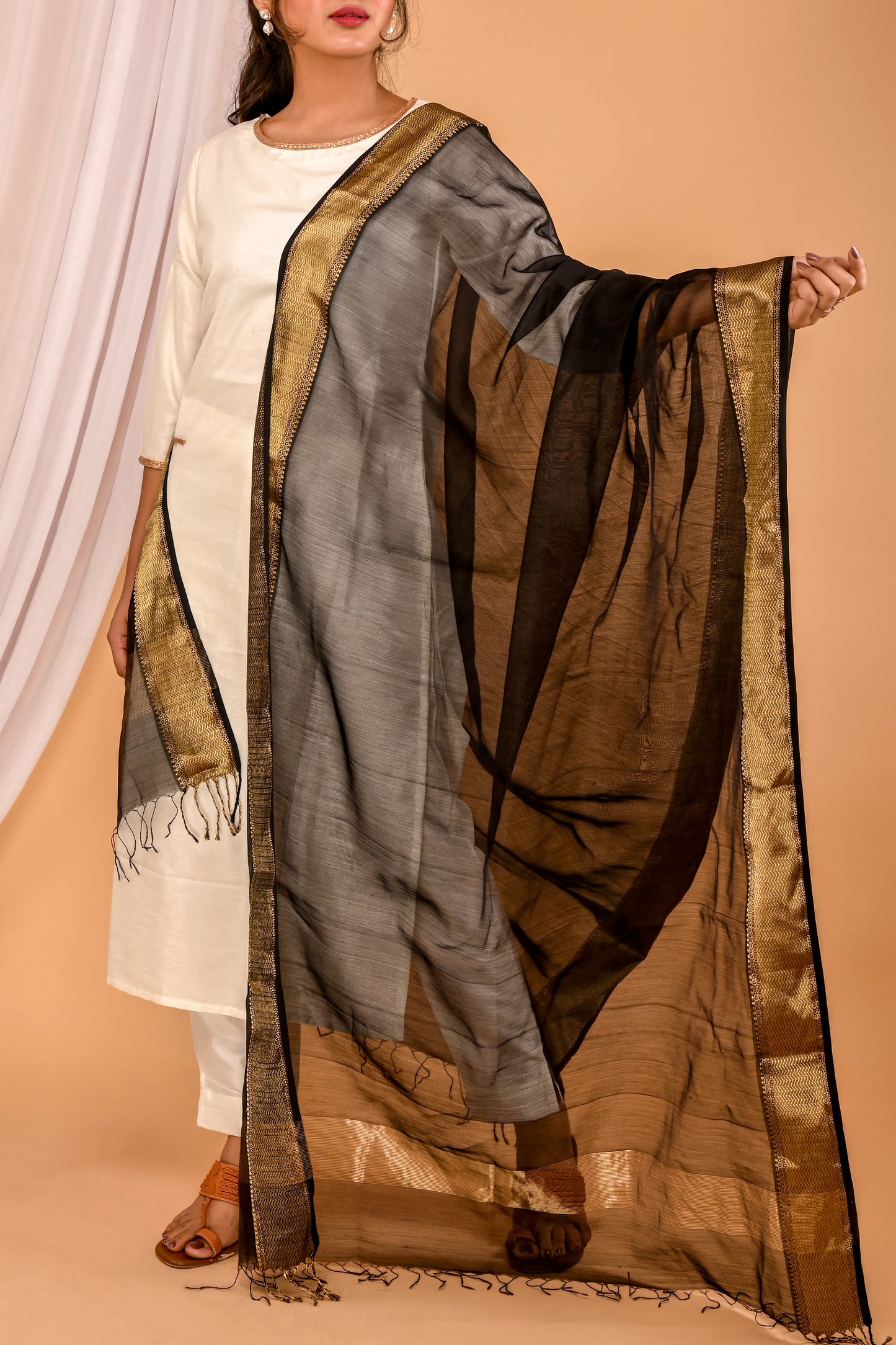 Bina Maheshwari Handwoven Dupatta