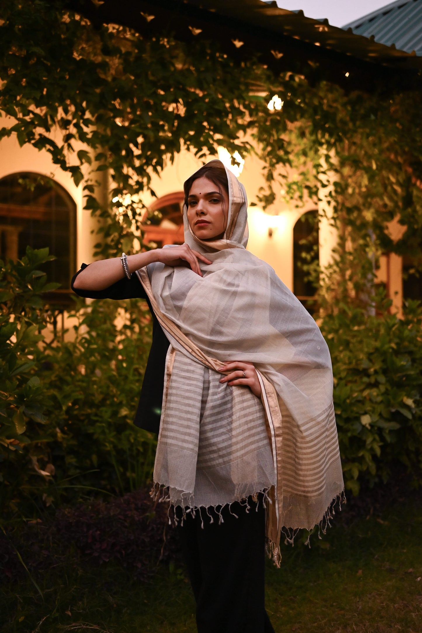 Sanika Maheshwari Handwoven Dupatta