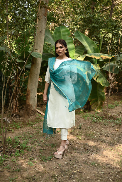 Aruni Maheshwari Handwoven Dupatta